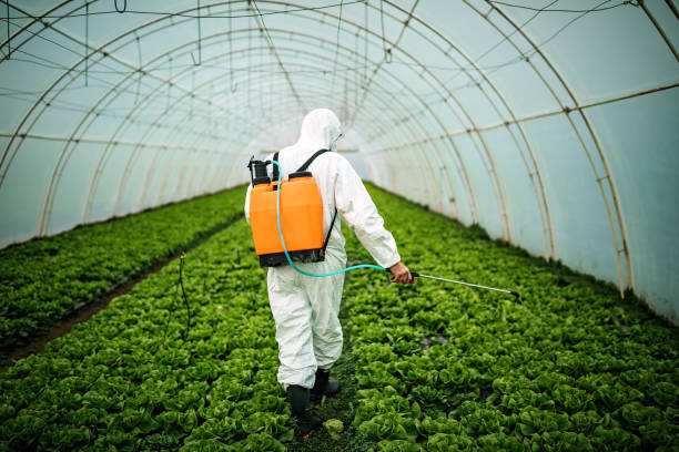 Best Affordable Exterminators  in Montrose, MN