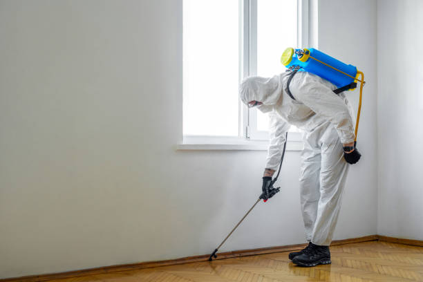 Best Pest Removal Services  in Montrose, MN