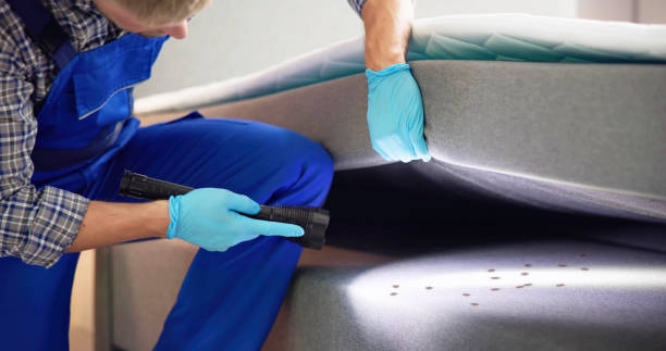 Best Commercial Pest Control Services  in Montrose, MN