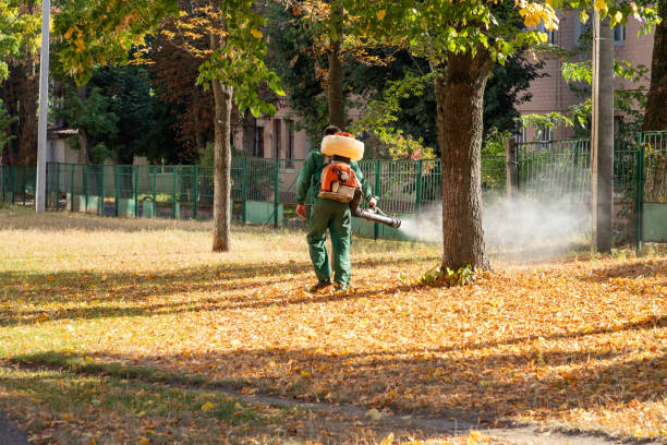 Pest Prevention Services in Montrose, MN